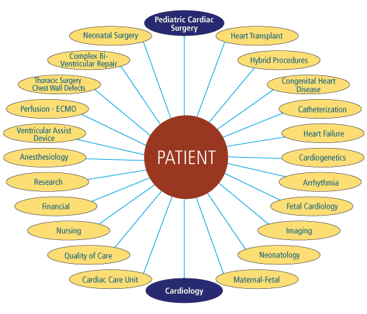 Patient-Circular-Graphic.gif